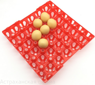 Лотки яиц для транспортировки или в инкубатор